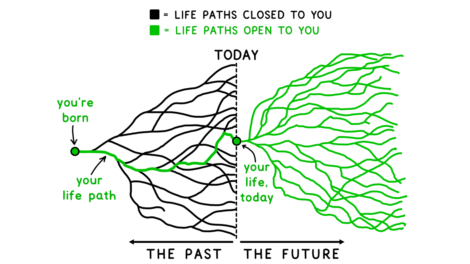 Life Paths